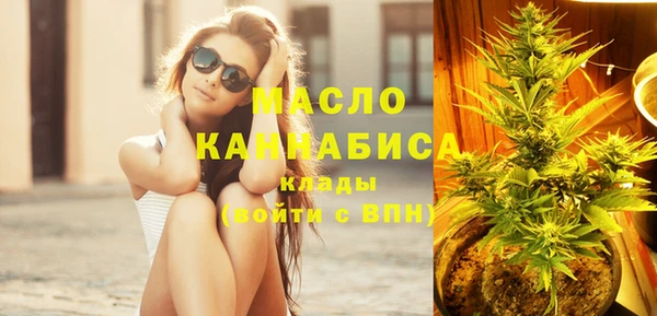 индика Бердск
